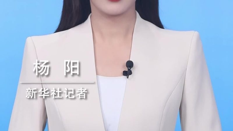 开源企业级搜索方案：优势与挑战并存